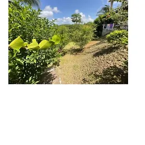 Lutecia Appartement